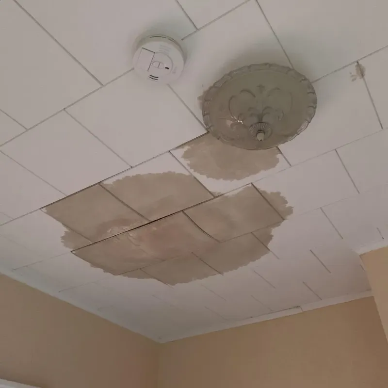 Ceiling Water Damage Repair in Pulaski County, AR